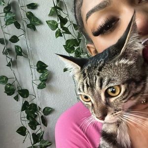 Meet your Posher, Asli